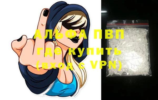 индика Арсеньев