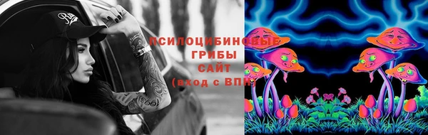 индика Арсеньев