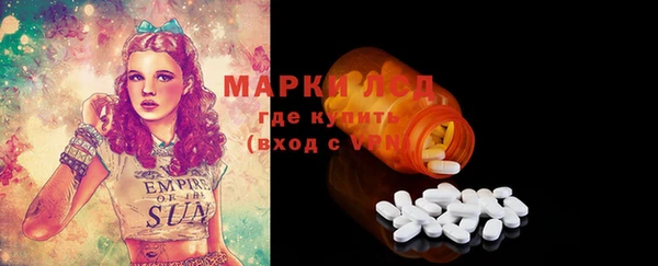 индика Арсеньев