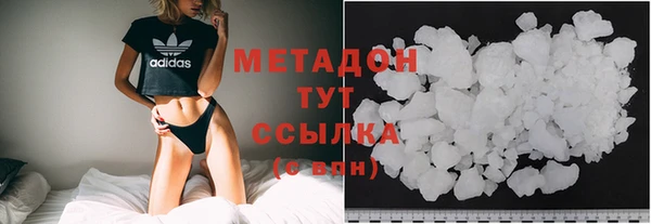 индика Арсеньев