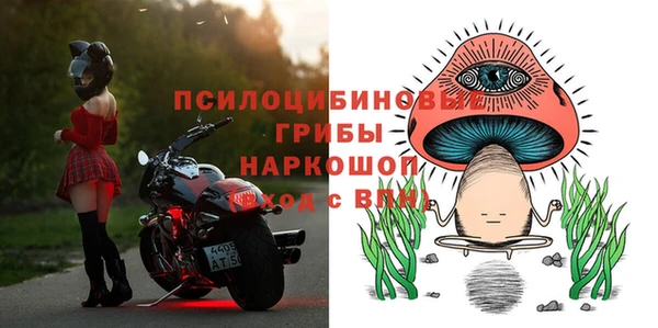 спиды Армянск
