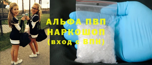 индика Арсеньев