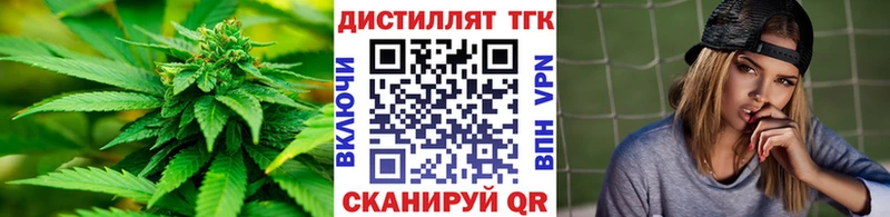 мега   Судогда  ТГК концентрат 