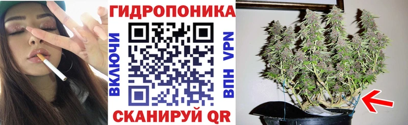 кракен ССЫЛКА  Судогда  Каннабис Amnesia  купить наркоту 